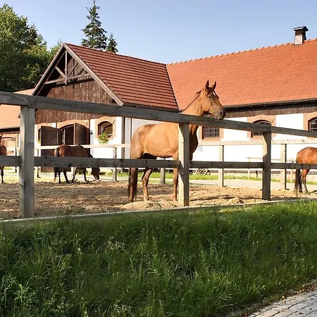 Hotel Dr Irena Eris Wzgorza Dylewskie